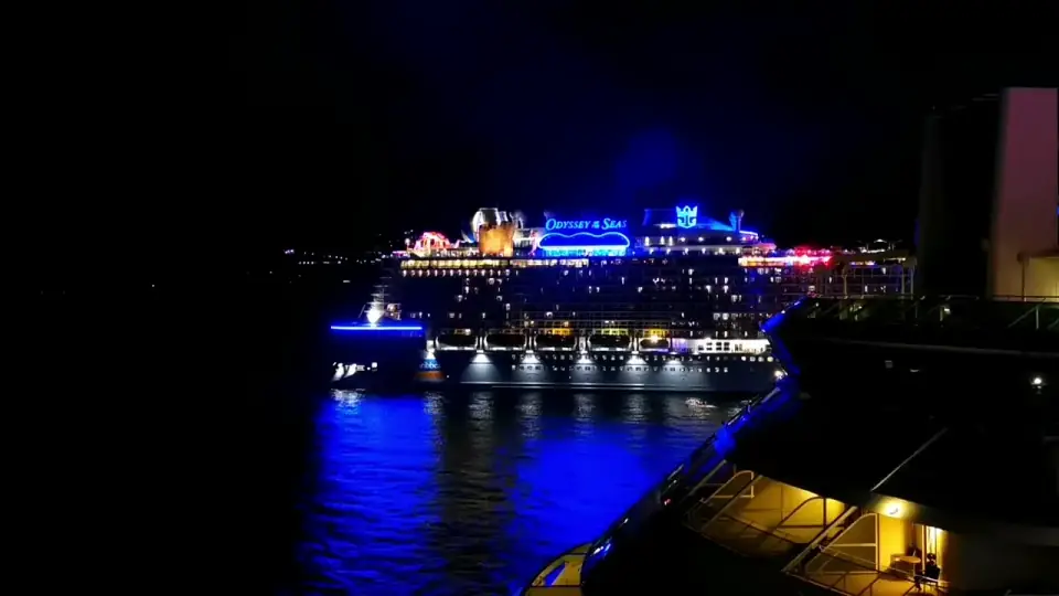 A cruise ship lit up in port at night