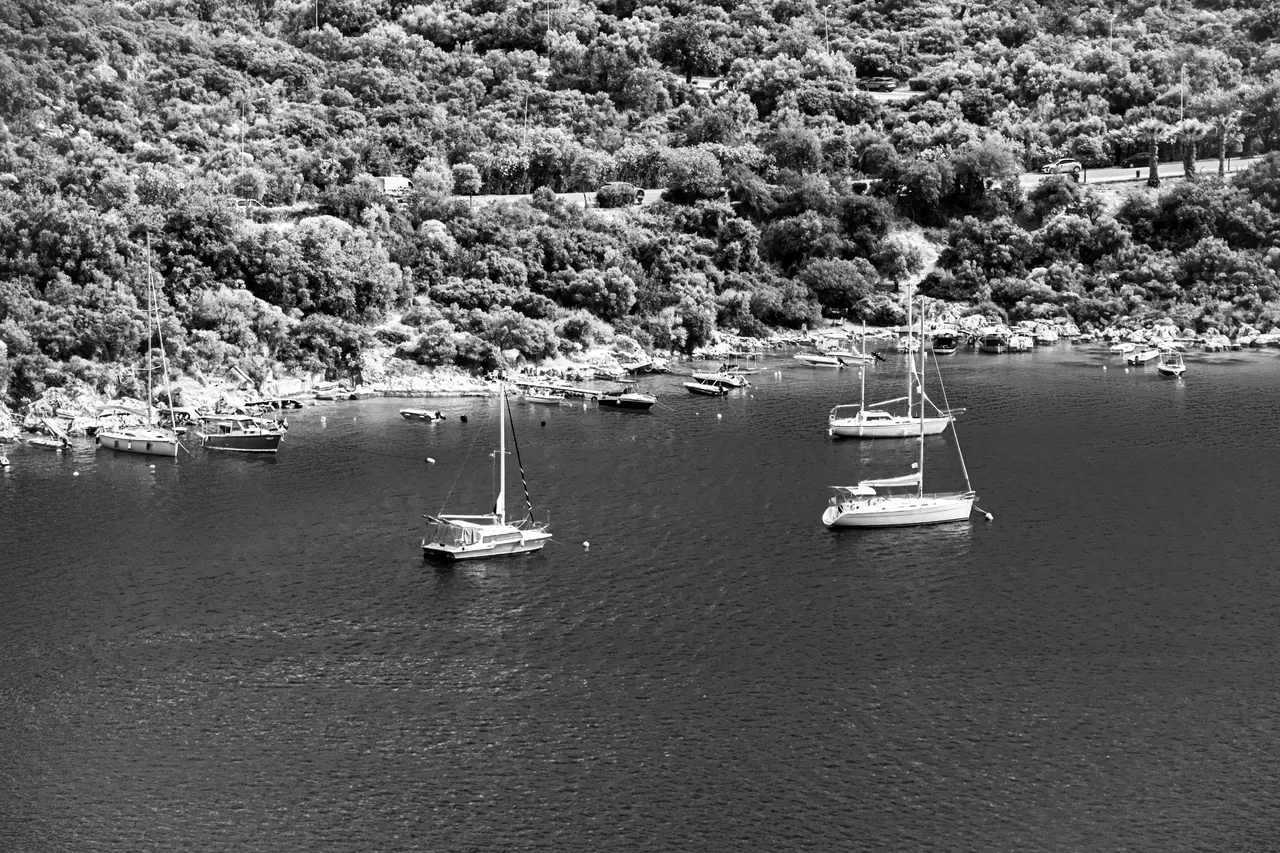 A stunning black and white aerial image of sailboats anchored near a forested coastline.