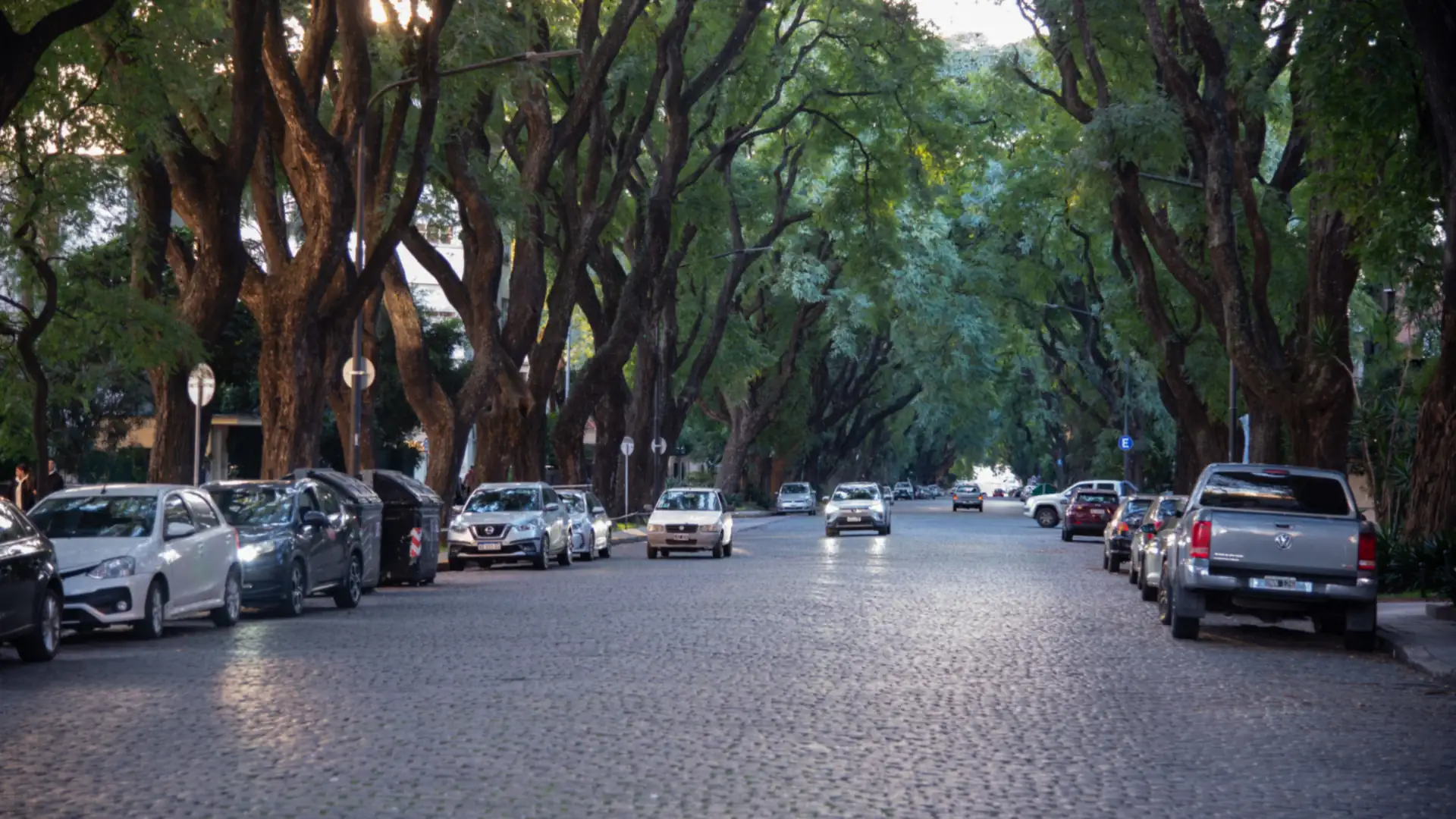 A quiet cobblestone street in Buenos Aires under a tall arch of leafy trees with cars parked along both sides