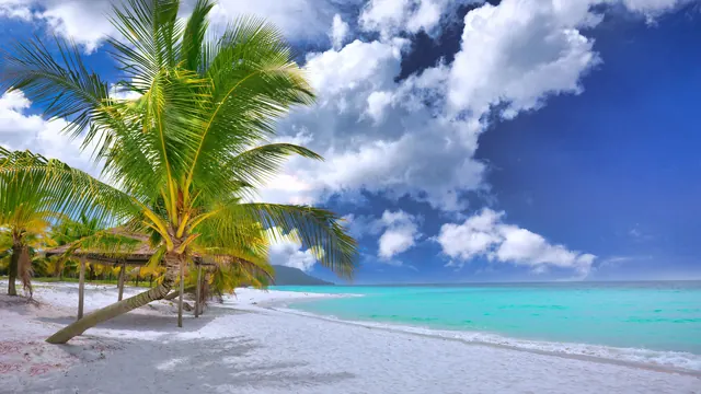 Castaway Cay vs Lookout Cay