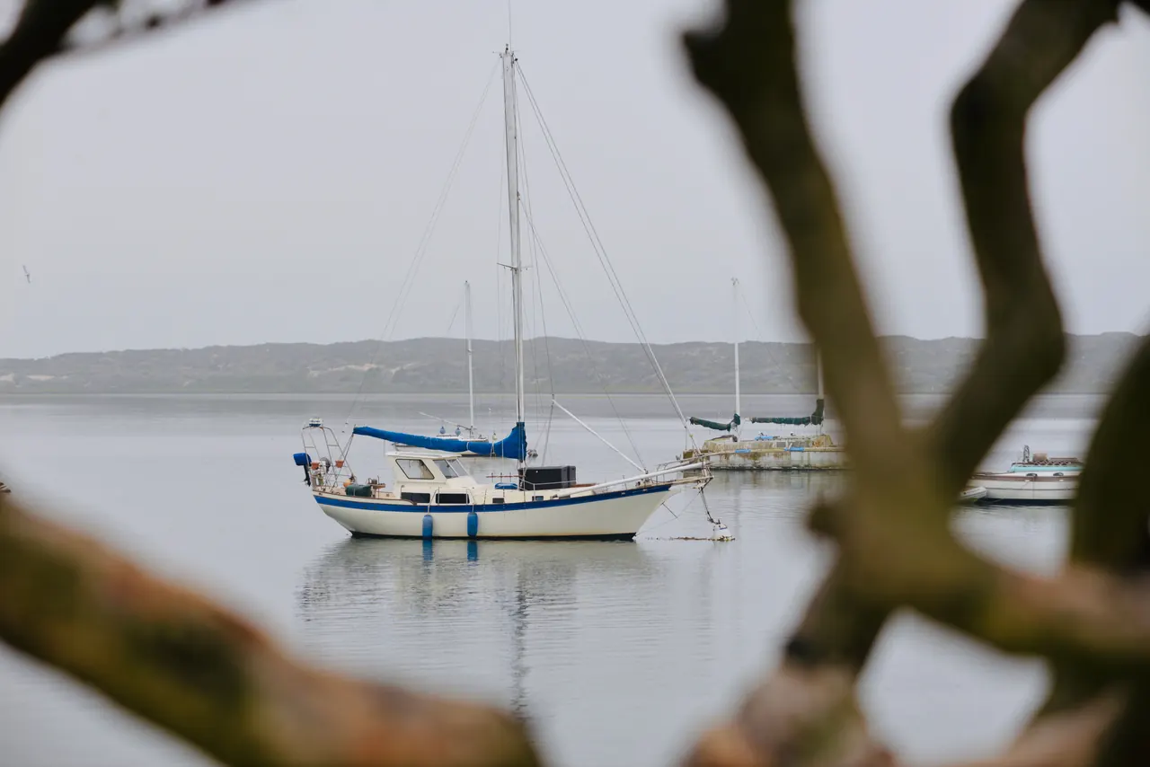 A peaceful scene of a sailboat anchored in Morro Bay, California, framed by tree branches.