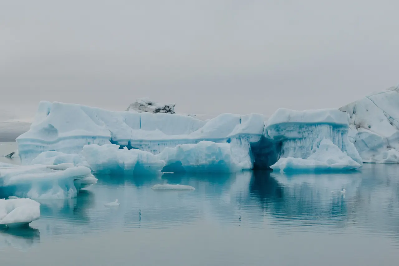 A tranquil scene of floating icebergs in calm arctic waters under a cloudy sky.