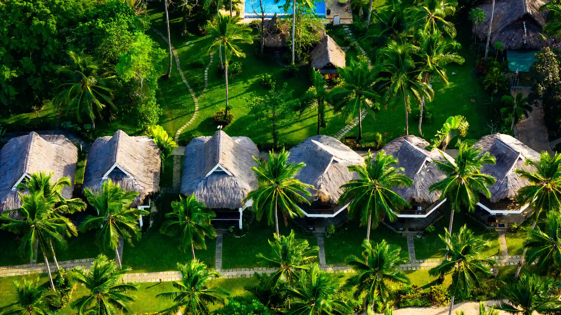 Aerial view of thatched-roof villas set among coconut palms at a Palawan beachfront resort