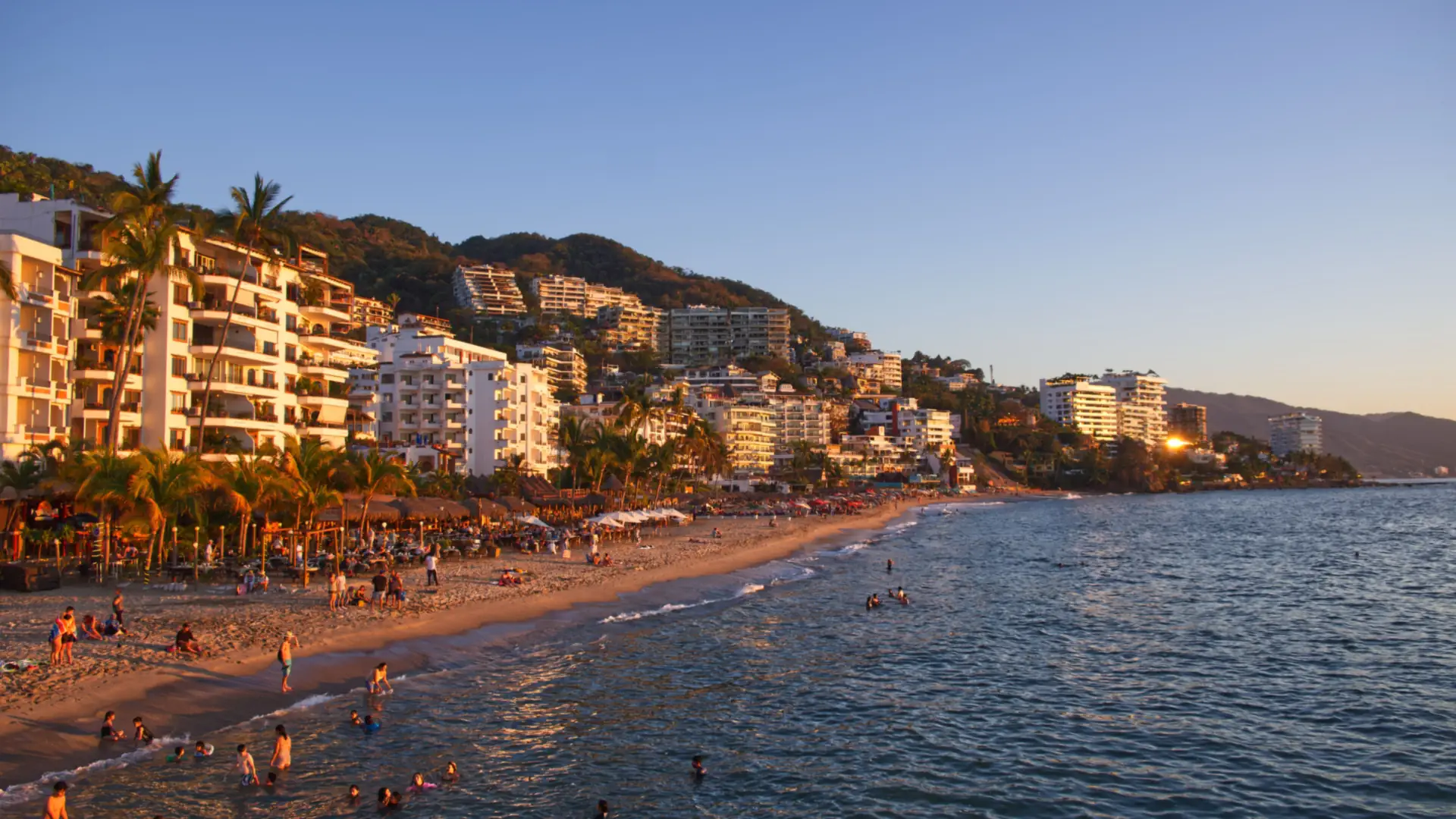 Swimmers and beachgoers on a golden-hour beach in Puerto Vallarta, with palm-lined hotels climbing the green hillside behind