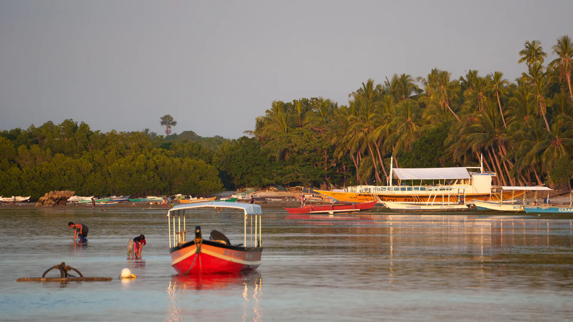 Outrigger bangka boats moored in shallow water off a palm-lined shore in Central Visayas, the Philippines