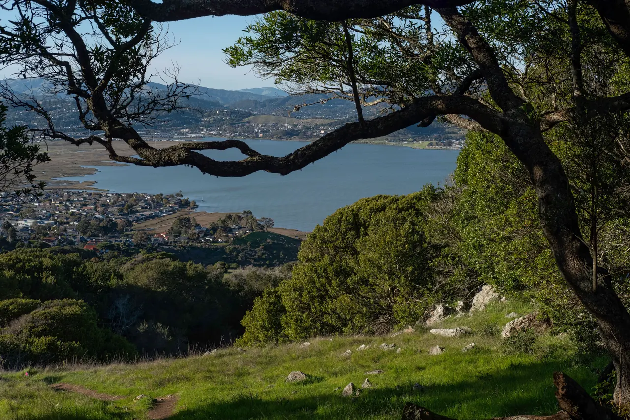 A captivating landscape view of a town and lake framed by trees and hills in a lush forest setting.